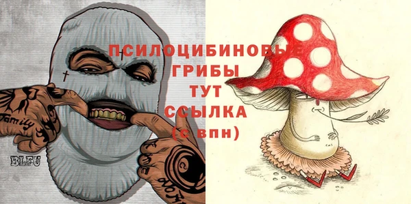 mdma Горнозаводск